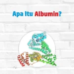 Apa Itu Albumin?